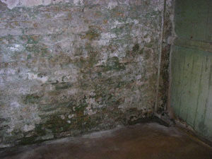 Property Insurance Claims Inspections | House Detective | Southeast Wisconsin